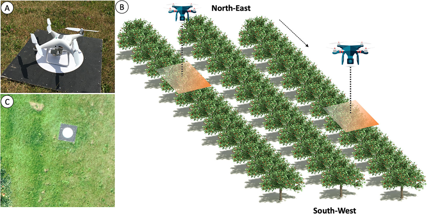 Crop Monitoring